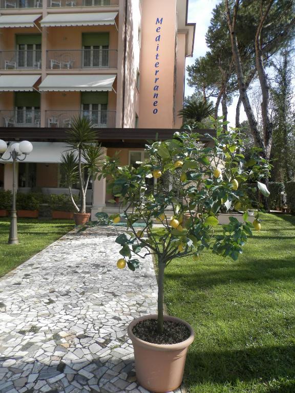 Hotel Mediterraneo Marina di Pietrasanta Eksteriør billede