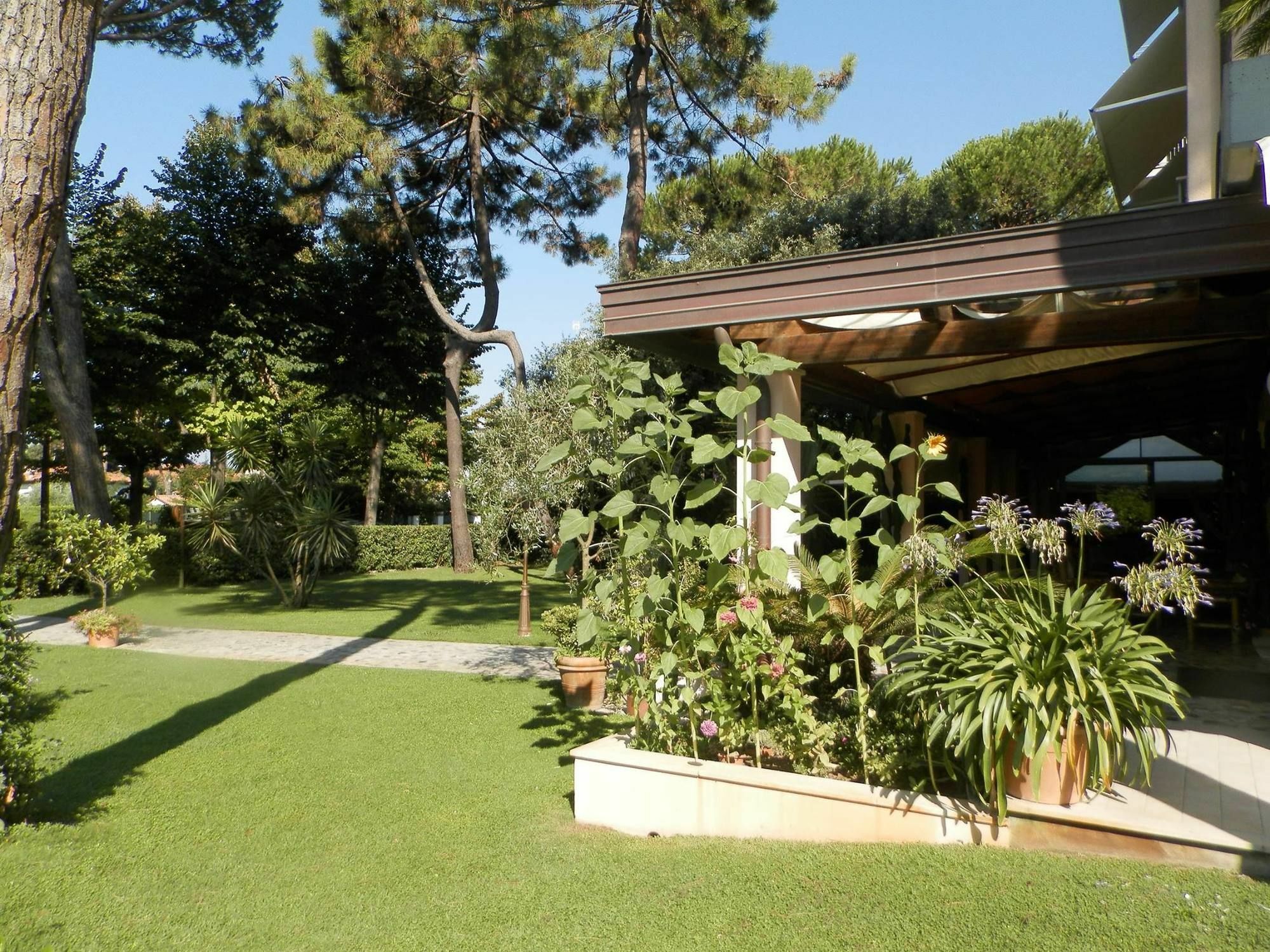 Hotel Mediterraneo Marina di Pietrasanta Eksteriør billede