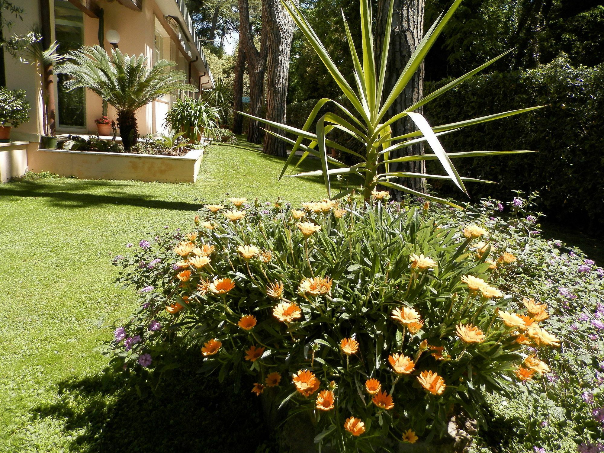 Hotel Mediterraneo Marina di Pietrasanta Eksteriør billede
